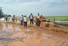 Tumbuhkan Semangat Gotong Royong, Camat Pedamaran Timur Bersama Polsek dan Kades Gelar Jumat Bersih Bergilir