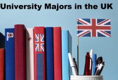 These are the 7 Most Popular University Majors in the UK