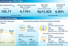 Perkembangan Indikator Stabilitas Nilai Rupiah pada 2-6 Desember 2024