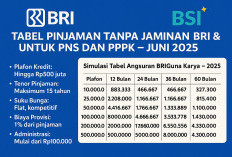 Tabel Pinjaman Tanpa Jaminan BRI & BSI untuk PNS dan PPPK: Update Juni 2025