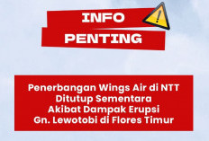 Abu Vulkanik Ancam Penerbangan, Wings Air Stop Rute Flores Timur