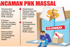 Ketar-Ketir Badai PHK Massal, Wamenaker Ungkap 60 Perusahaan Akan Kurangi Karyawan, Sumsel Aman!