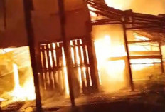 Puluhan Kios di Pasar Pagi Betung Ludes Terbakar, Petugas Damkar Berjuang Padamkan Api