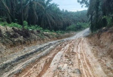 Bupati Lahat Tegas Dukung Warga Palembaja Tolak Truk Perusahaan Lewati Jalan Umum