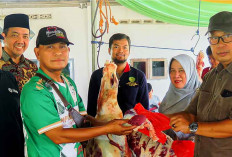Idul Adha 1446 H, UM Palembang Potong 17 Sapi Kurban