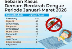 Kasus DBD di Sumsel pada Triwulan I 2026 Turun Signifikan, Ini Salah Satu Faktor Penyebabnya