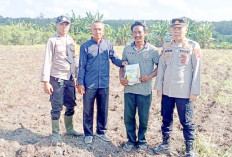 Dukung Swasembada Pangan,  Tanam Jagung 1 Hektare