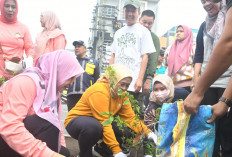 Gagas Palembang Warna-Warni, Bougenville Percantik Median Jalan LRT