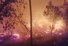 4 Hektare Lahan Gambut Terbakar, Asap Mengepul hingga Pagi
