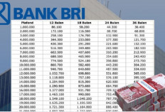 Skema Pijaman BRI 2025 untuk PNS Cicilan Mulai  dari Rp 100 Ribuan!