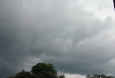 Hujan Petir Diprediksi Landa Sejumlah Wilayah Sumsel, Selasa 16 September 2025