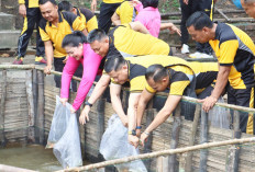 Sebar Benih Ikan, Tanam Bibit Sayuran