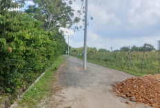 2 Tahun Tiang Listrik Tengah Jalan, Dampak Pengembangan Kawasan di Ogan Ilir
