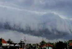 Penjelasan BMKG Tentang Fenomena Awan Tsunami, Apakah Berbahaya? Yuk, Simak Jawabannya!