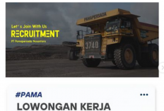 Lowongan Kerja PT Pamapersada Nusantara (Deadline: 03 Agustus 2024)