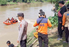 2 Tim SAR, Sisir Sungai, Lakukan Penyelaman, Cari Bocah yang Tenggelam di Desa Lubuk Batang Baru