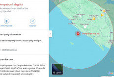 Goyang 5 Daerah di Sumsel Akibat Gempa 5,6 SR, Gunung Dempo Status Waspada. Puluhan Rumah di Bengkulu Rusak 