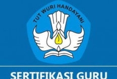 Tunjangan Sertifikasi Guru 2026: Jadwal Pencairan, Syarat Terbaru, dan Skema Baru