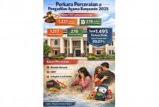 KDRT Hingga Judol, Penyebab Cerai