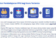 Alur Pembelajaran PPG Guru Tertentu 2025 hingga Sertifikat Pendidik: Panduan Lengkap