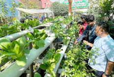 Mahasiswa Unsri Lewat Program Gemay Ubah Limbah Jadi Berkah, Warga Jadi Produktif dan Lingkungan Bersih