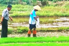 Dukung Kemandirian Warga Binaan, Semai Bibit Padi Unggul