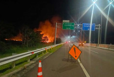  Lahan Pinggiran Tol Mulai Rawan Terbakar, Sudah 6 Daerah di Sumsel Status Siaga Karhutla