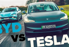 BYD Serbu Amerika, Tesla Terancam? Duel Raksasa Mobil Listrik Makin Panas Jelang 2030!