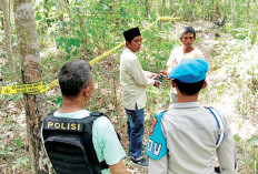 Belasan Gajah Ngamuk Tewaskan Ibu Hamil 5 Bulan, Dampak Habitat Jadi HTI