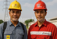 Inilah 8 Jurusan Kuliah yang Paling Banyak Dicari PT PLN dan Pertamina