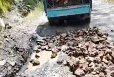   Tak Tunggu Pemerintah, Komunitas Sopir Truk Patungan Timbun Jalan Rusak