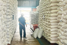 Stok Beras Tersedia di Gudang Bulog Sebanyak 79 Ribu Ton, Aman untuk Cukupi Kebutuhan Ramadan dan Idulfitri 