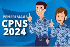 319.255 Pelamar Lolos CPNS Kemenag 2024, Siap Lanjut ke Tahap SKD!