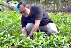 Dorong Kolaborasi Warga hingga Dapur MBG, GSMP Terus Diperkuat