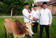 Effryadi Serahkan Hewan Kurban Pemkot Prabumulih untuk Warga Wonosari pada Iduladha 1447 H