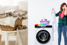 7 Benda yang Sebaiknya Jangan Dicuci dengan Mesin Cuci, Nomor 6 Masih Sering Dilupakan!