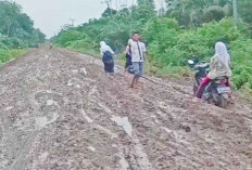 Segera Panggil Perusahaan Bahas Jalan Rusak 