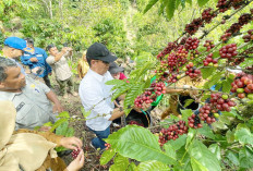 Lakukan Panen, Ciptakan Nilai Tambah