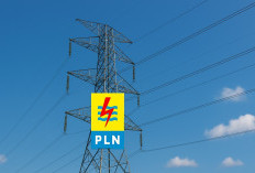 Tarif Listrik PLN 17–23 November 2025, Subsidi dan Non-Subsidi Tetap Stabil Hingga Akhir Tahun