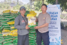 Salurkan 8 Ton Beras Murah untuk Warga Gelumbang