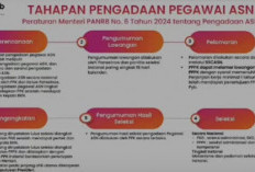 Alur Pendaftaran SSCASN Guru, P1 Wajib Daftar hingga Resume, Begini Nasib P2,P3 dan P4