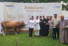 Bank Mandiri Salurkan 23 Sapi dan 11 Kambing Kurban, Ribuan Kupon Dibagikan untuk Masyarakat