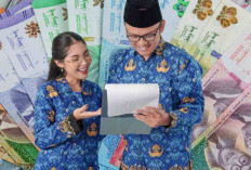 Perbedaan Tunjangan PPPK dan PNS Pada 2025, Mana yang Lebih Sejahtera?