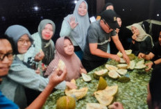 Maknyusnya Duren Pagaralam Saat Musim Duren, Wajib Coba Saat Wisata ke Pagaralam