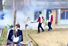 Antisipasi DBD, Ingatkan PHBS dan 3 M plus, Lakukan Fogging di Desa Kandis
