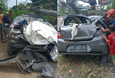 Diduga Mengantuk, Mobil Brio Hantam Tiang Listrik di Muratara, Dua ASN Bengkulu Luka-luka