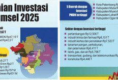 Investasi Sepanjang 2025 Serap 61.529 Tenaga Kerja, Realisasi PMA-PMDN di Sumsel Rp62,67 T