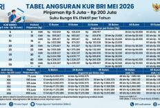 Tabel KUR BRI Mei 2026 Terbaru: Pinjaman Rp5 Juta – Rp200 Juta, Cek Cicilan Per Bulan di Sini