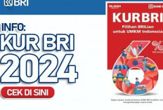 Tips dan Panduan Terbaru Pengajuan KUR BRI Agustus 2024, Langkah dan Persyaratan untuk Pinjaman Rp 50 Juta