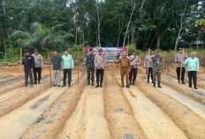 Polres Prabumulih dan Pemkot Gelar Penanaman Jagung untuk Swasembada Pangan